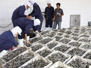 La décision du Mexique de suspendre les importations de crevettes vietnamiennes est non-fondée